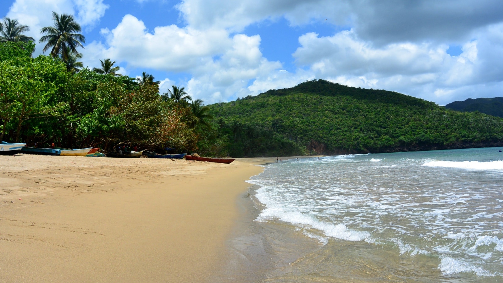 Deserted beach with clear water of the Atlantic Ocean near the mountains and cliffs overgrown with green jungles and palm trees on a tropical island. Dominican Republic, Samana Peninsula