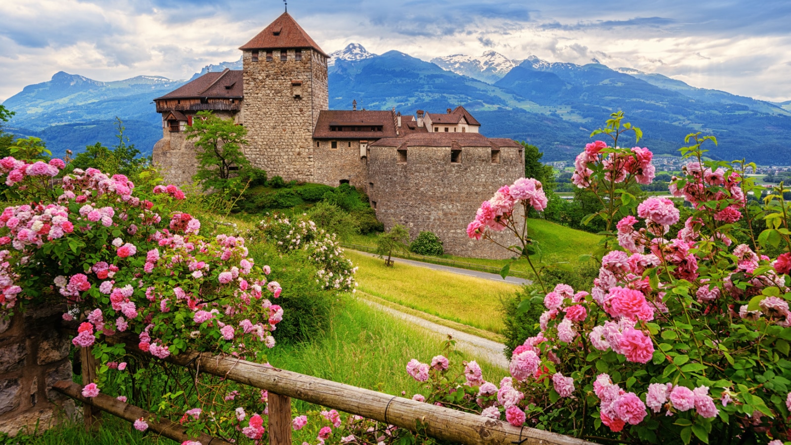 Vaduz castle, Liechtenstein, in the Alps mountains, with beautiful blooming pink rose flowers