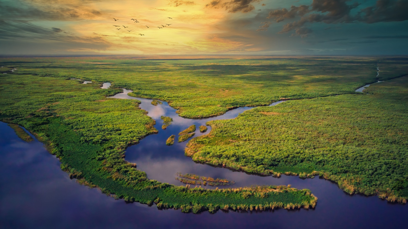 Aerial View of Florida Everglades Golden Hour Sunset