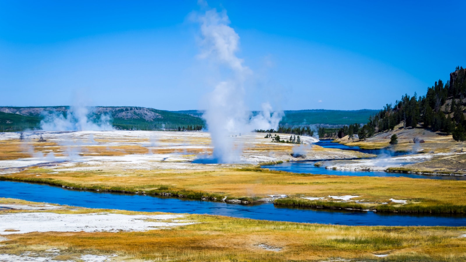 Hydrothermal areas of Yellowstone National Park Wyoming USA