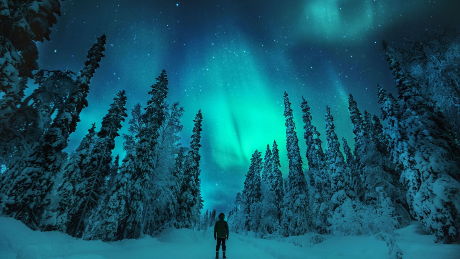 Man watching Aurora borealis in lapland winter