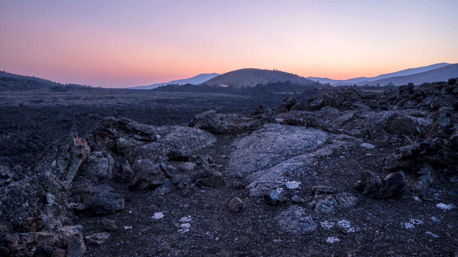 USA, Idaho, Craters of the Moon National Monument and Reserve. Lava field with dwarf buckwheat at sunset