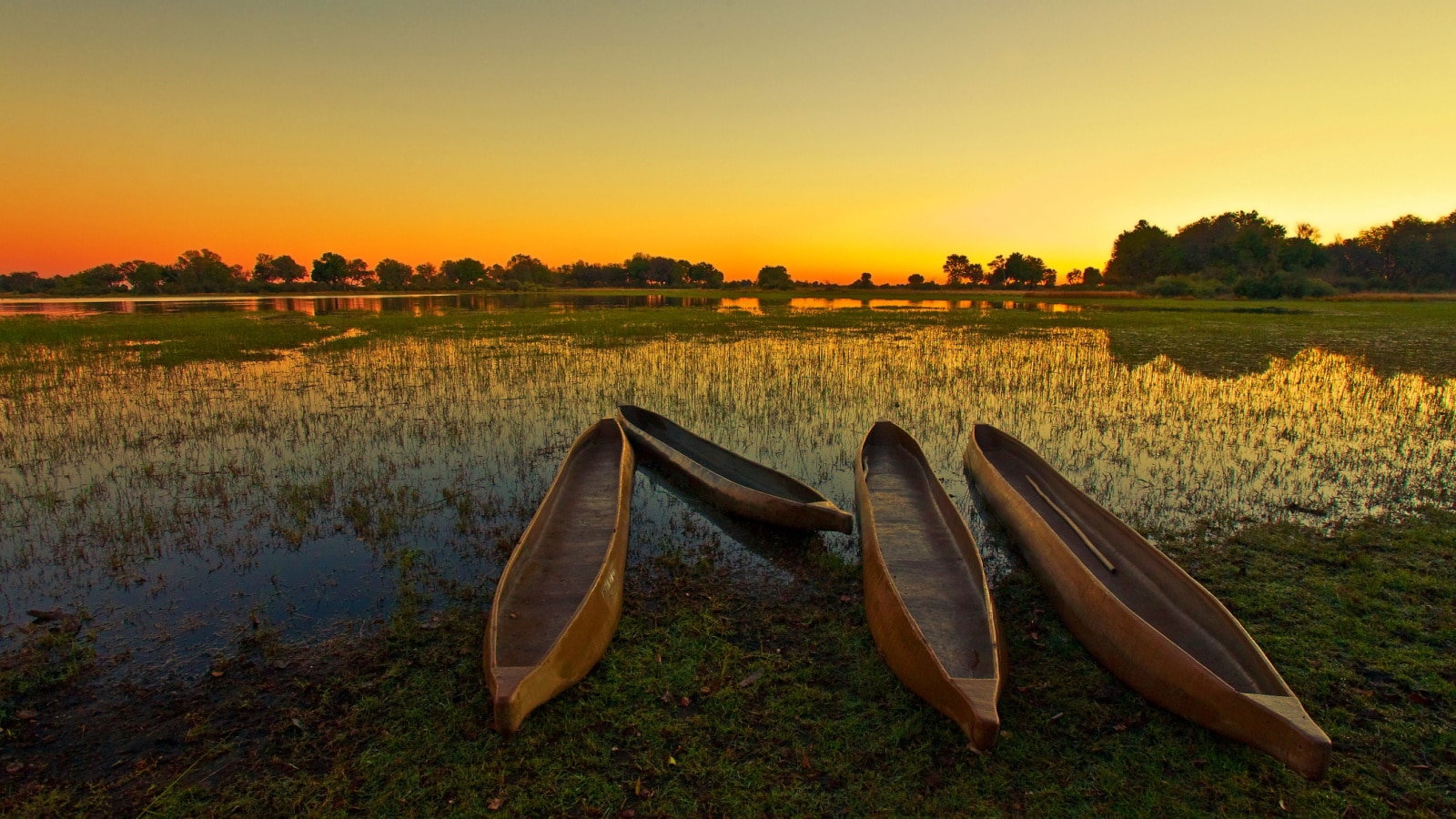 Sunrise over the Okavango Delta, Botswana