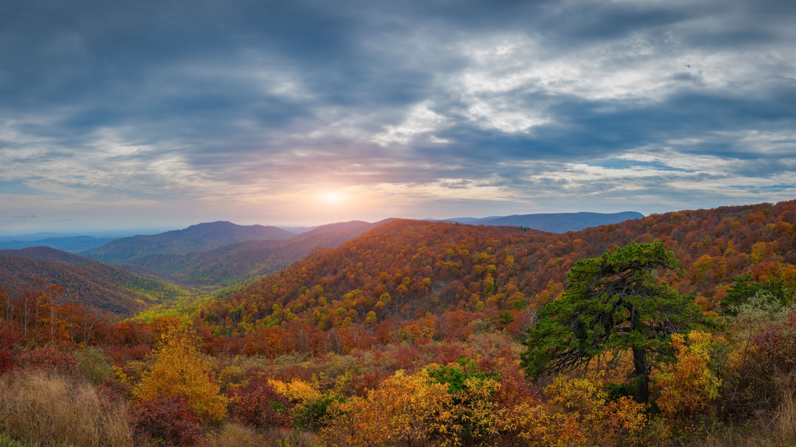 An overlook at Shenandoah National Park in Virginia with autumn colors.
