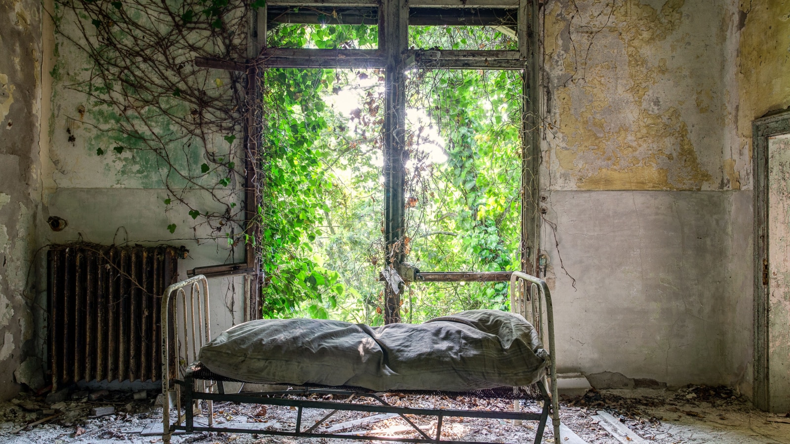 A ruined Hospital lies crumbling on the abandoned and supposedly haunted Poveglia Island in Italy.