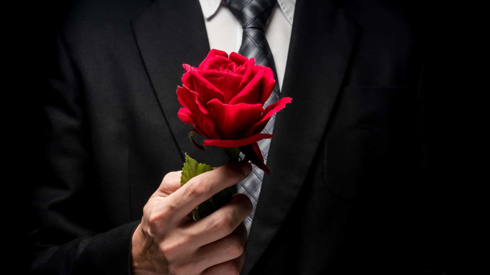 close up of man in black suit holding red rose.