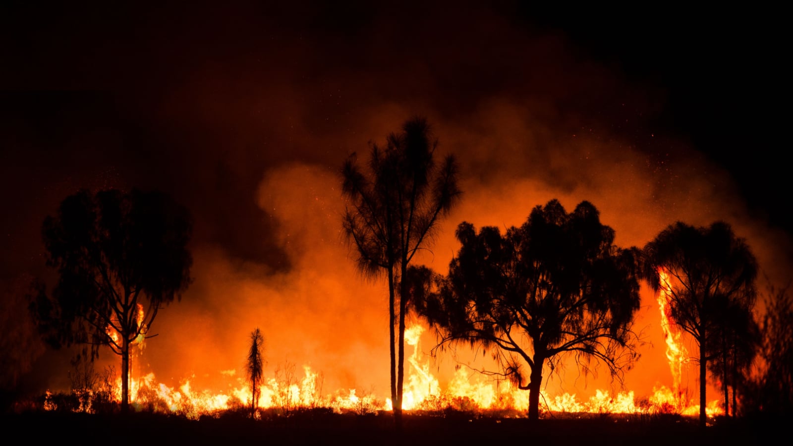 Bush fire In australian outback