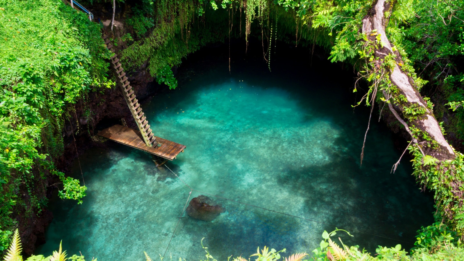 The natural turquoise waters pool of To Sua ocean trench in Lotofaga -Upolo, Samoa