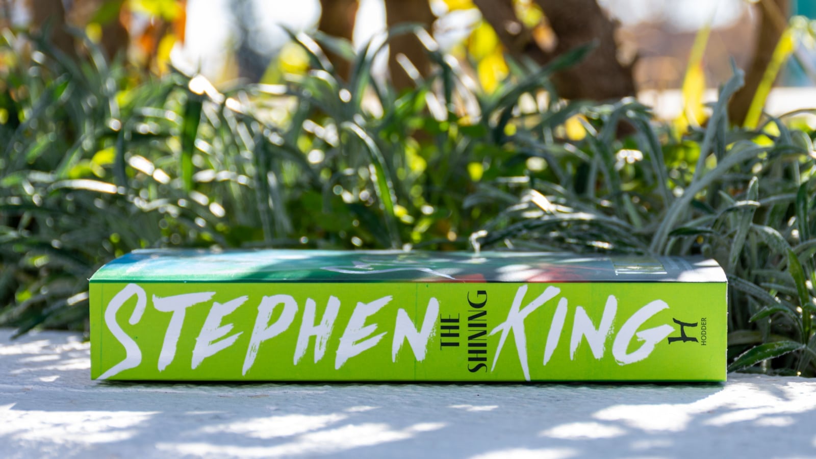 Setif, Algeria - January 08, 2023: Close-up the American author Stephen King's The Shining novel in the garden on a beautiful day.