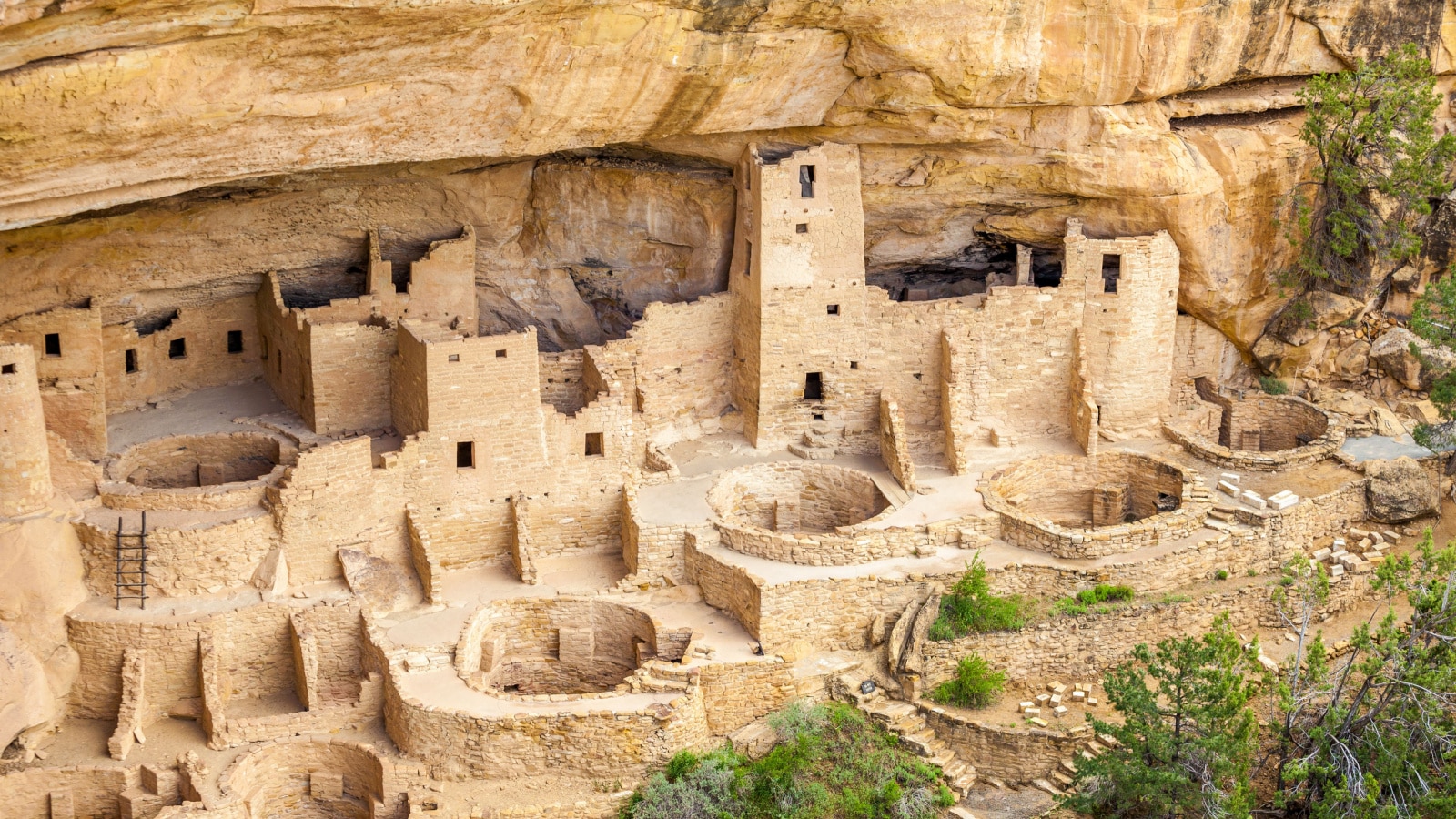 Cliff dwellings in Mesa Verde National Parks, Colorado, USA