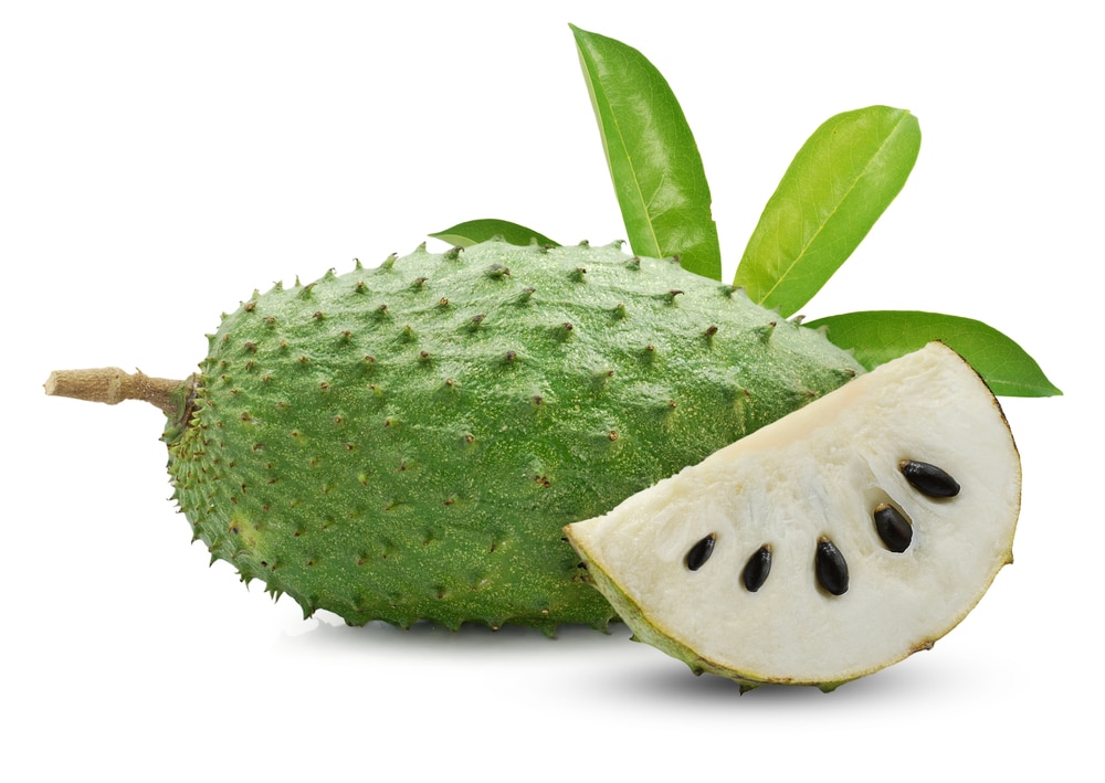 soursop fruit isolated on white background