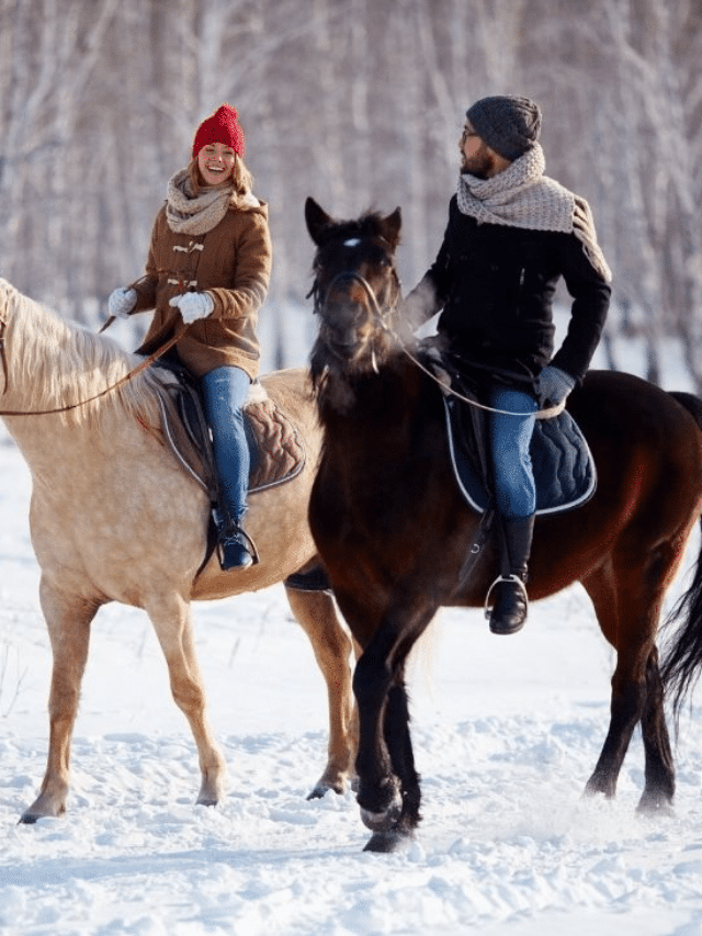 20 Fun Things to Do in Wisconsin Dells in Winter by a Wisconsinite