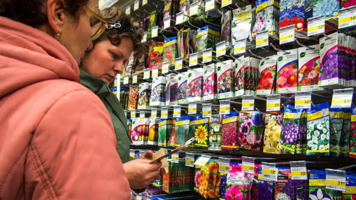 Checking price in grocery store