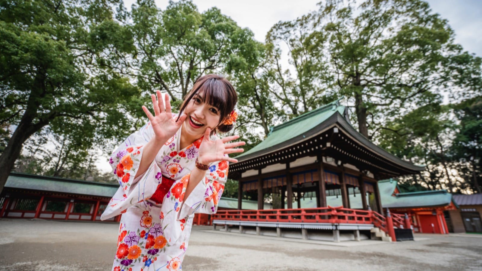 Traveler in Japan