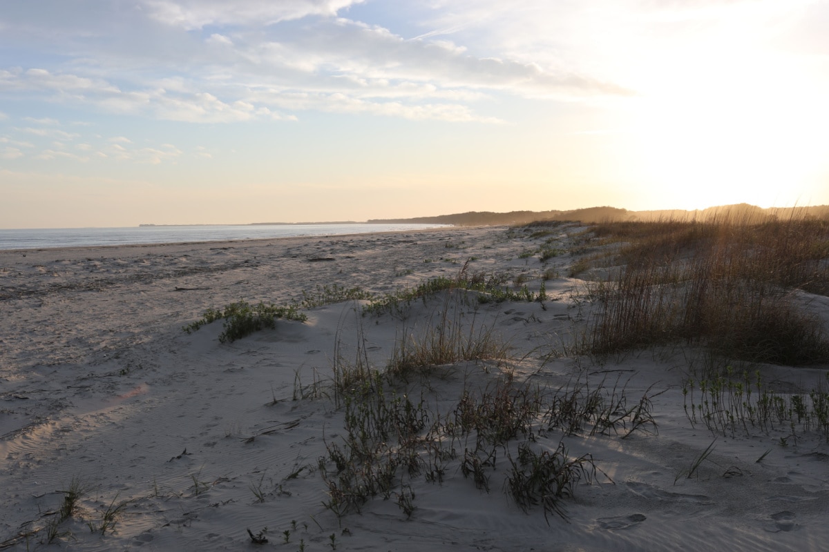 Beach sunset on Capers Island, South Carolina.