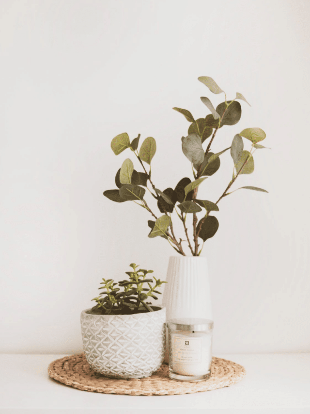 Minimalist shot of white candle and vase with greenings in cream background