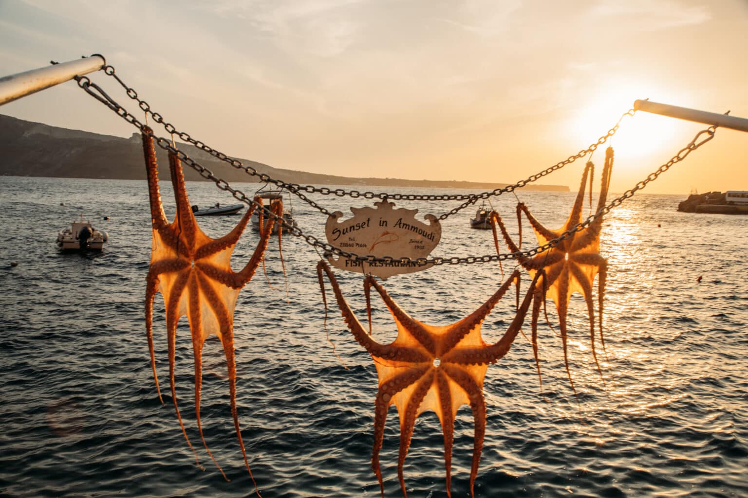 Amoudi Bay sunset with octopus hanging from a sign
