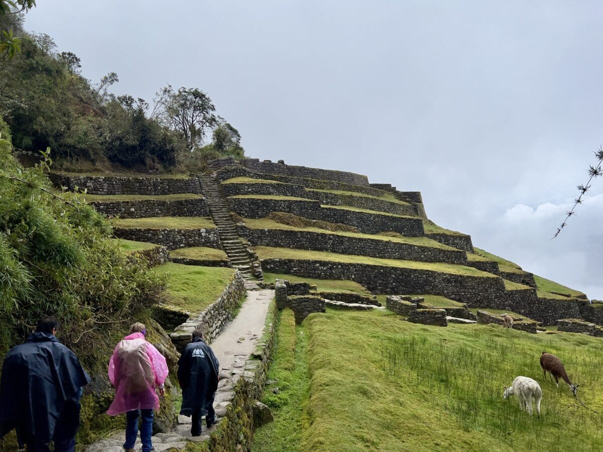 Hiking the Inca Trail in our rain ponchos one morning.