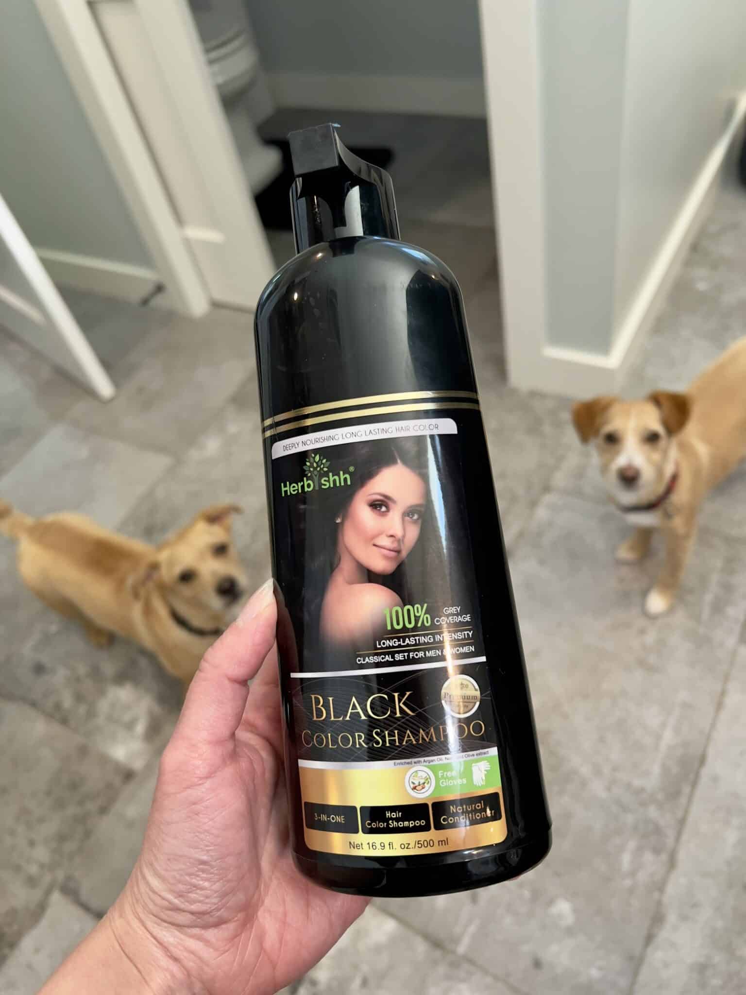The Herbishh Color Shampoo in Black bottle with Lindsey's two dogs in the background looking up at it