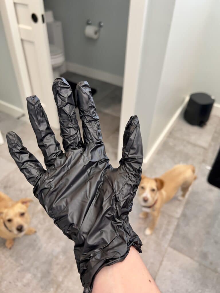 The gloves that come with the dye kit.