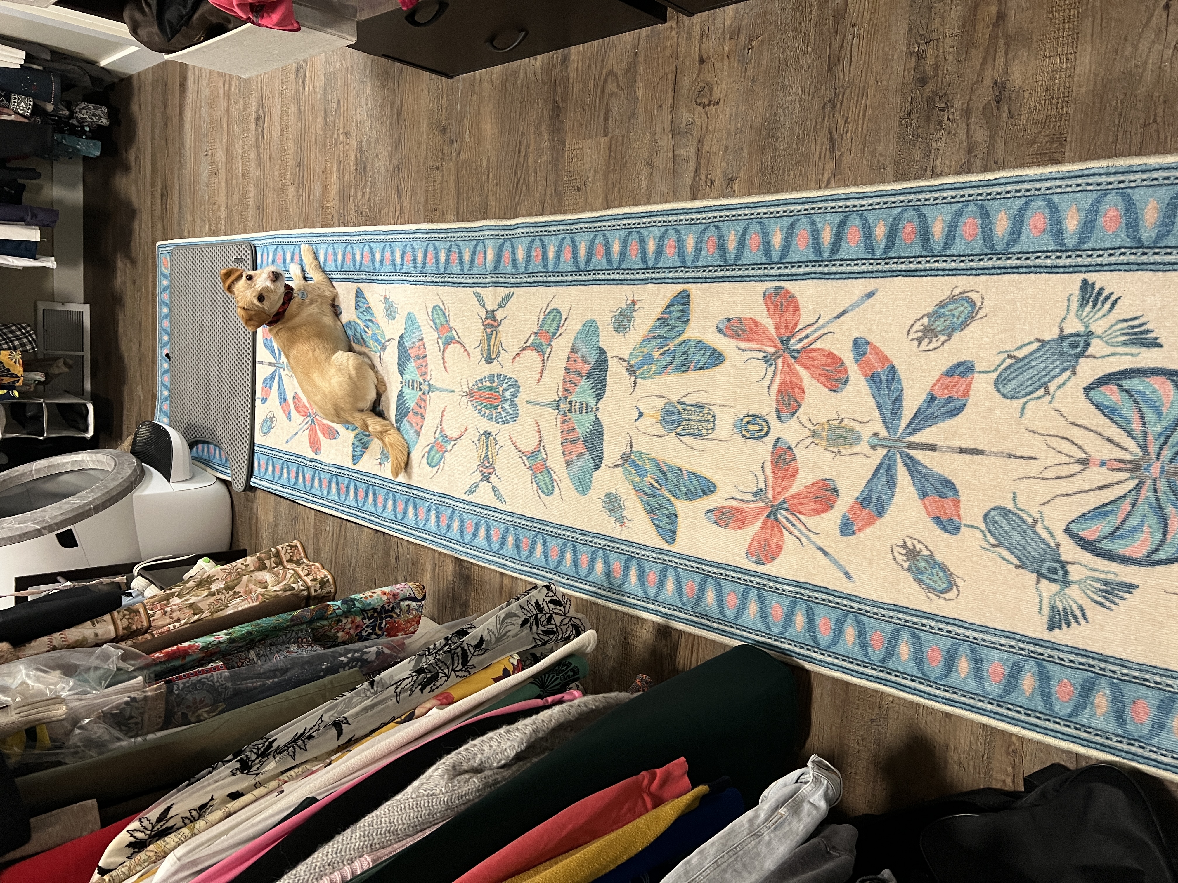 My Ruggable Rug Why I Returned Almost All of My Ruggable Rugs: An Honest Review You ...