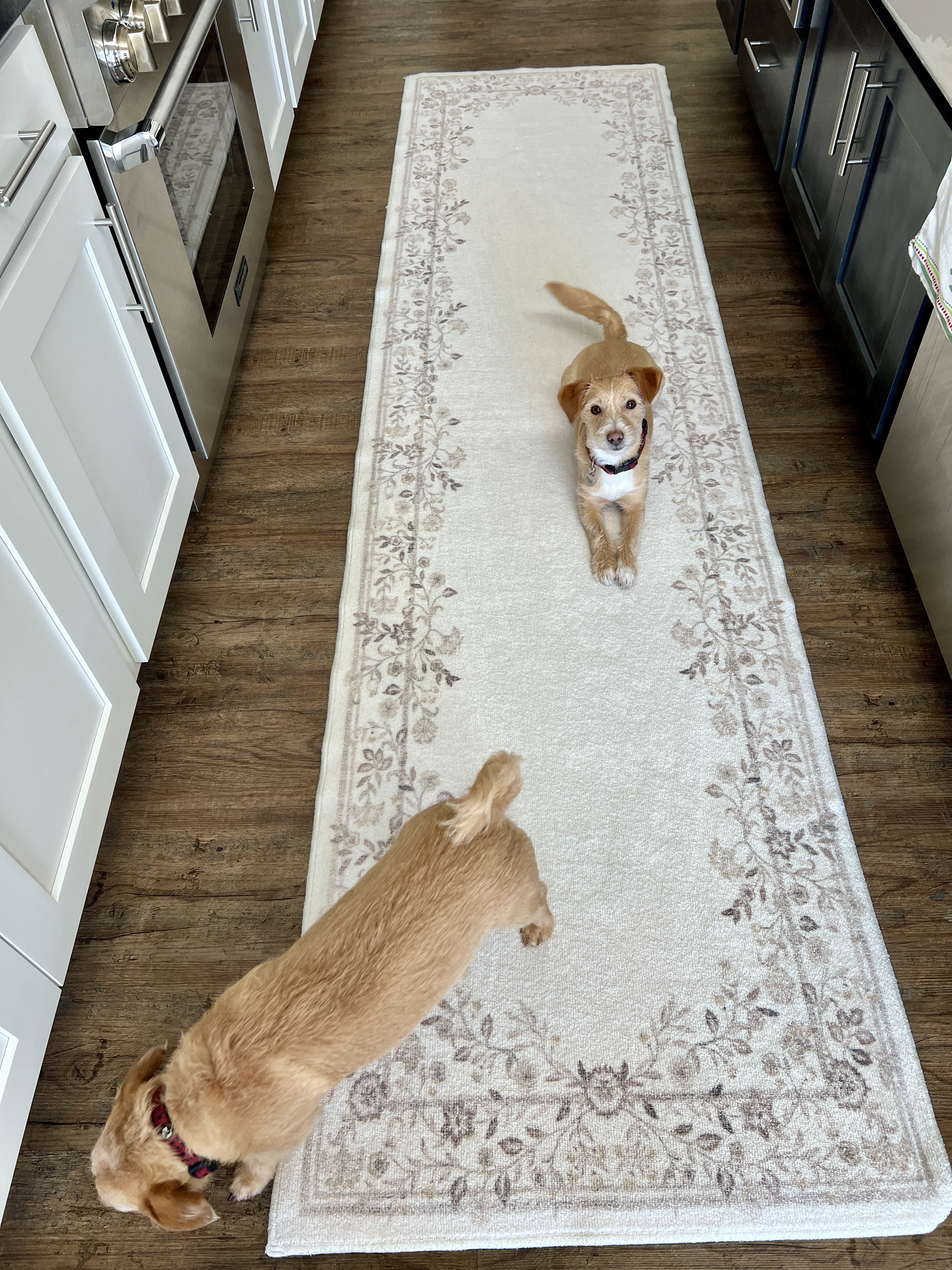 Why I Returned Almost All of My Ruggable Rugs: An Honest Review You ...