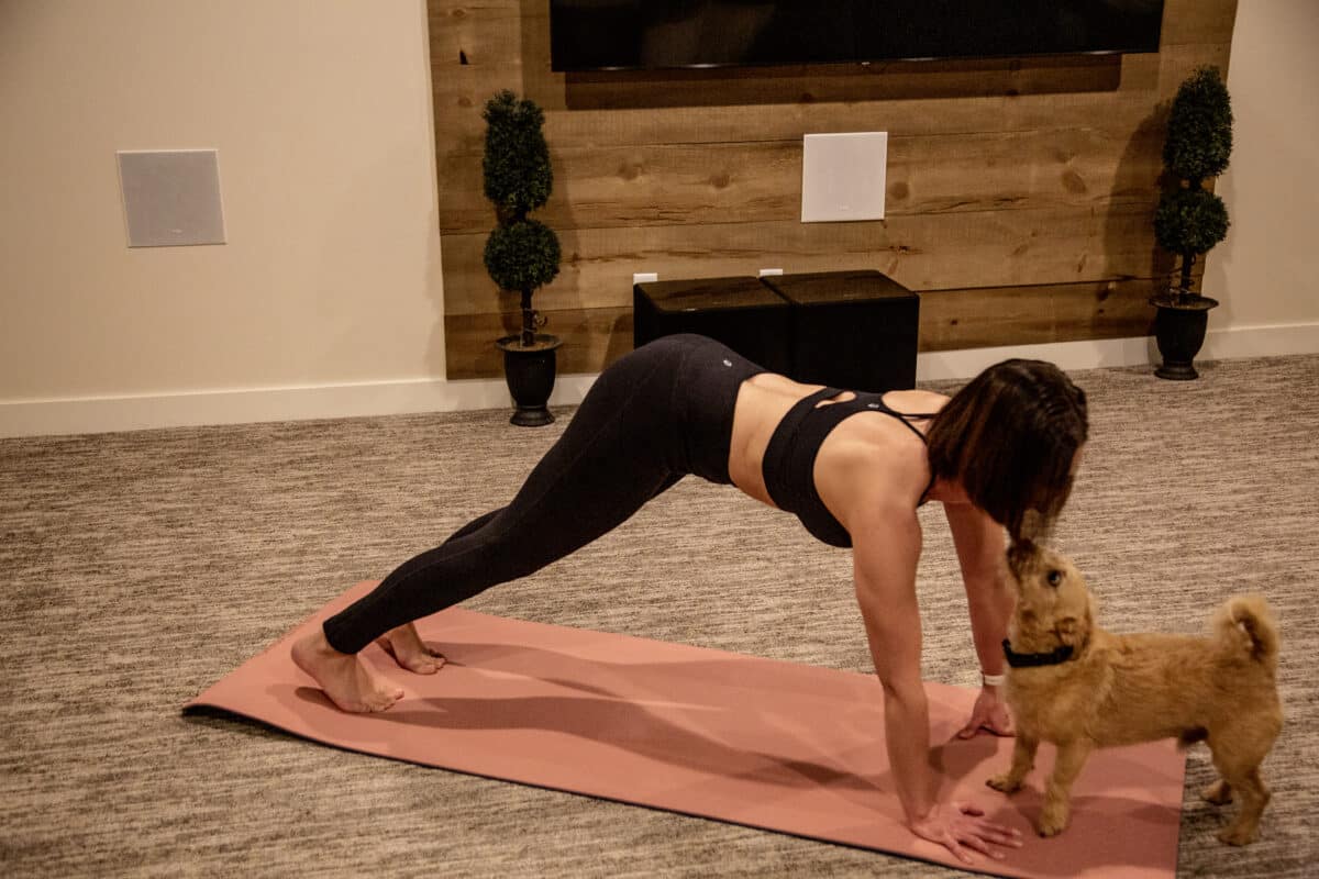 Lindsey wearing IUGA black leggings trying to do a yoga pose a small dog kisses her.
