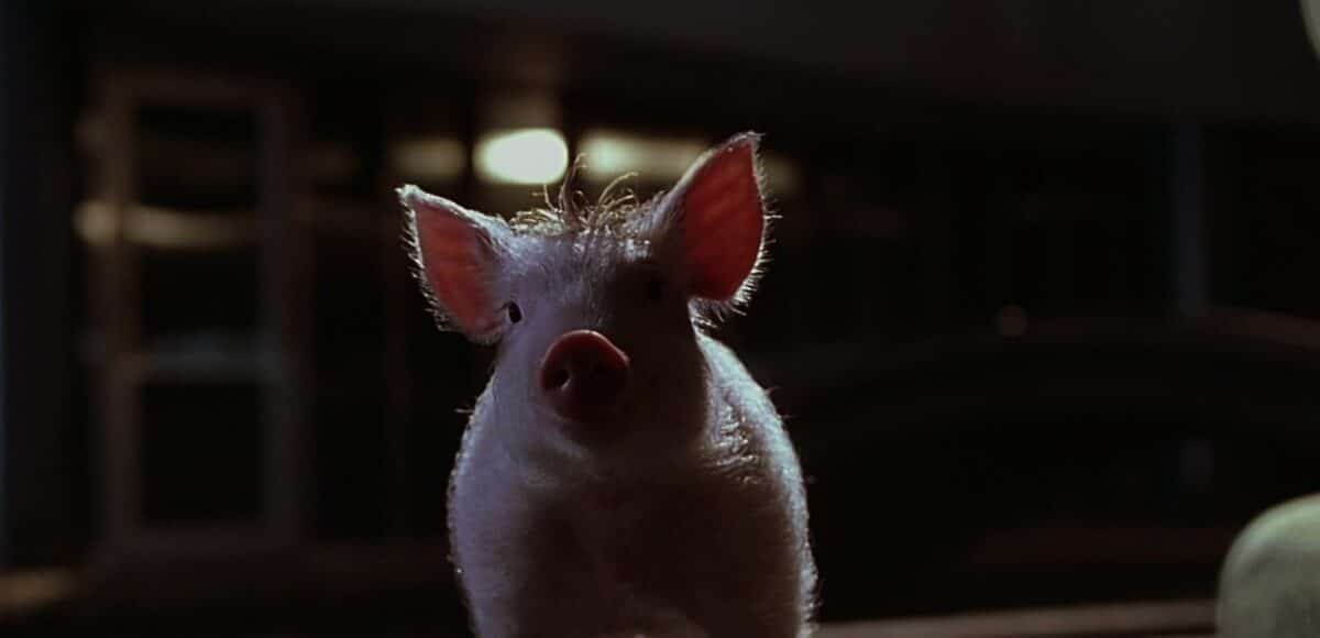 Elizabeth Daily in Babe: Pig in the City (1998)