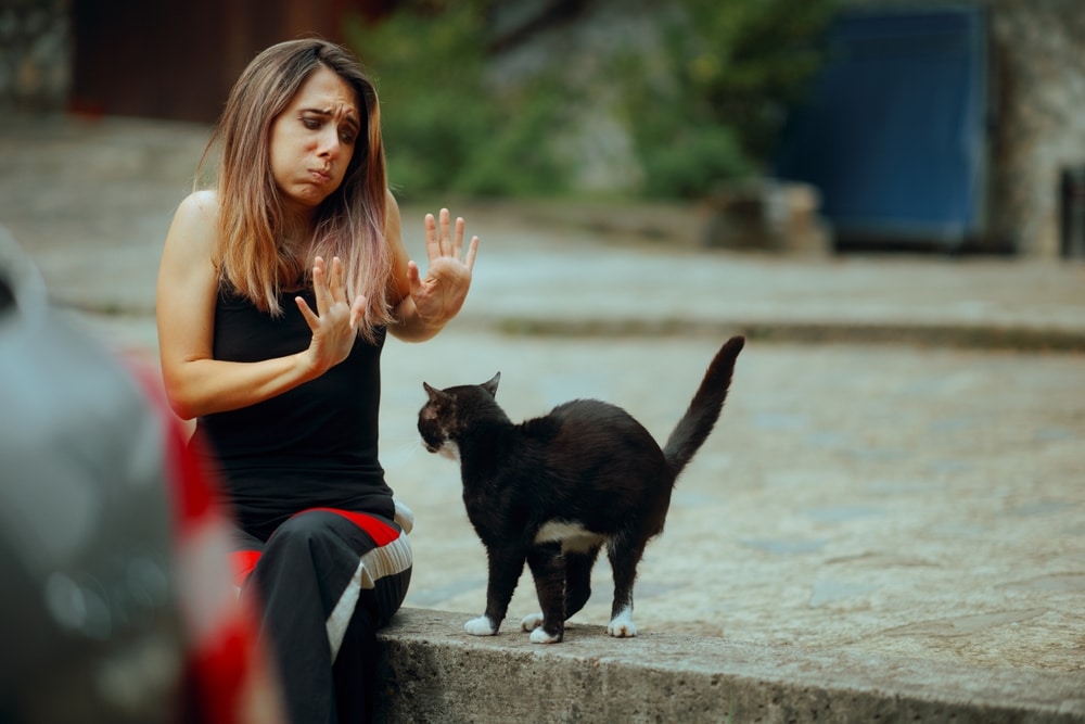 Stressed Woman Disliking a Cat That Fallows Her Around. Unhappy lady saying no to a kitten waiting to be friends