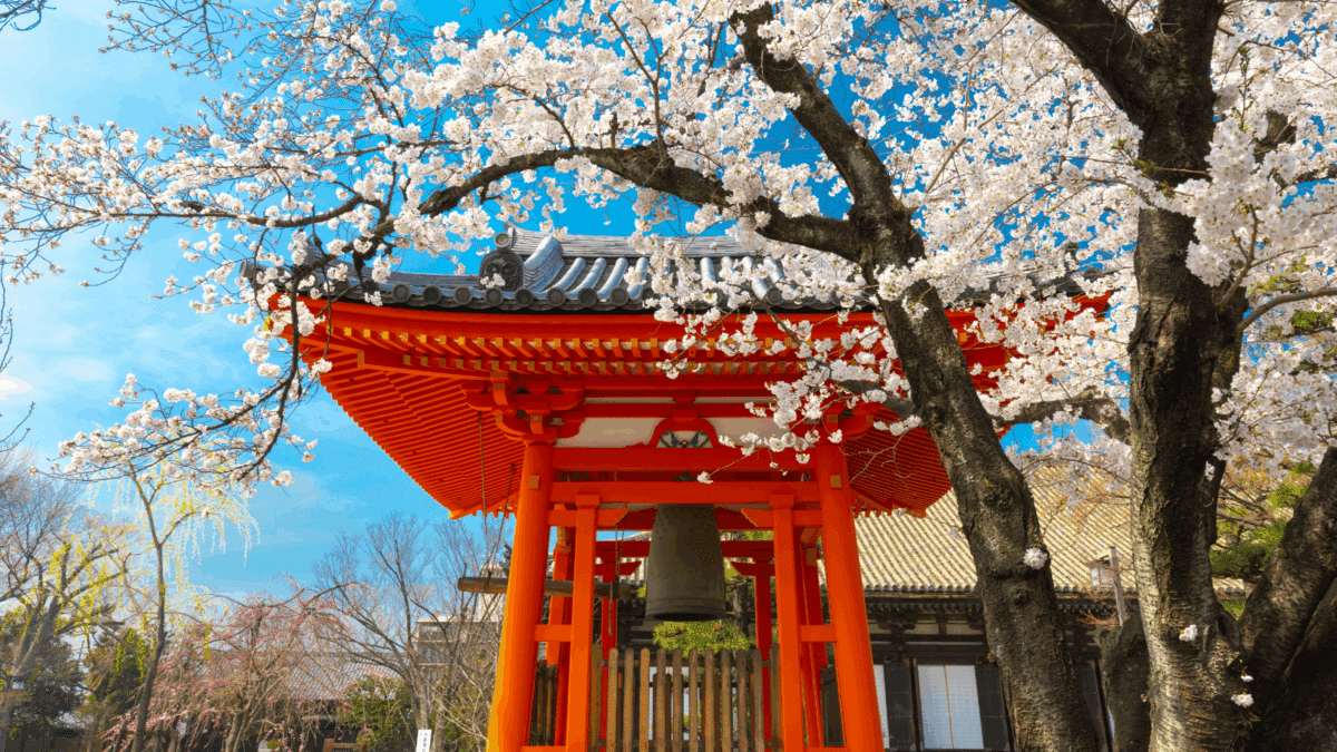 Temple in Japan with Sakura
