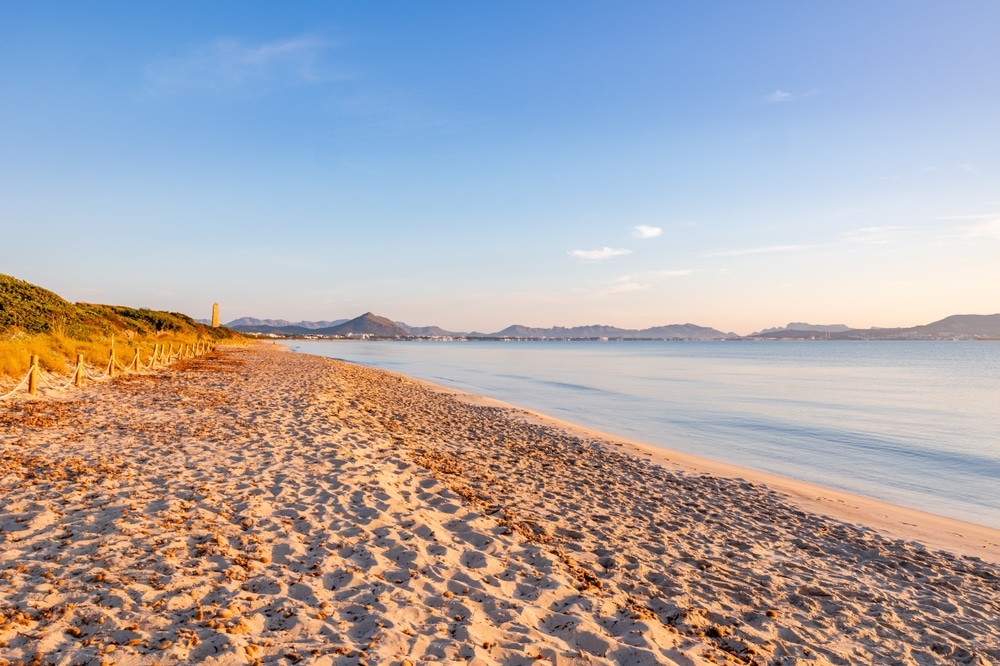 Beautiful Playa de Muro beach, Mallorca, Spain