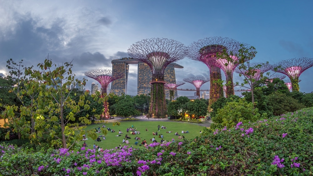 Futuristic aerial view of illumination at Garden by the Bay in Singapore after sunset. Green lawn with viewers. Night light show at Supertree Groveis is main Marina Bay district tourist attraction