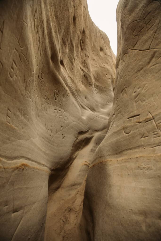 Slot canyon in Torrey Pines