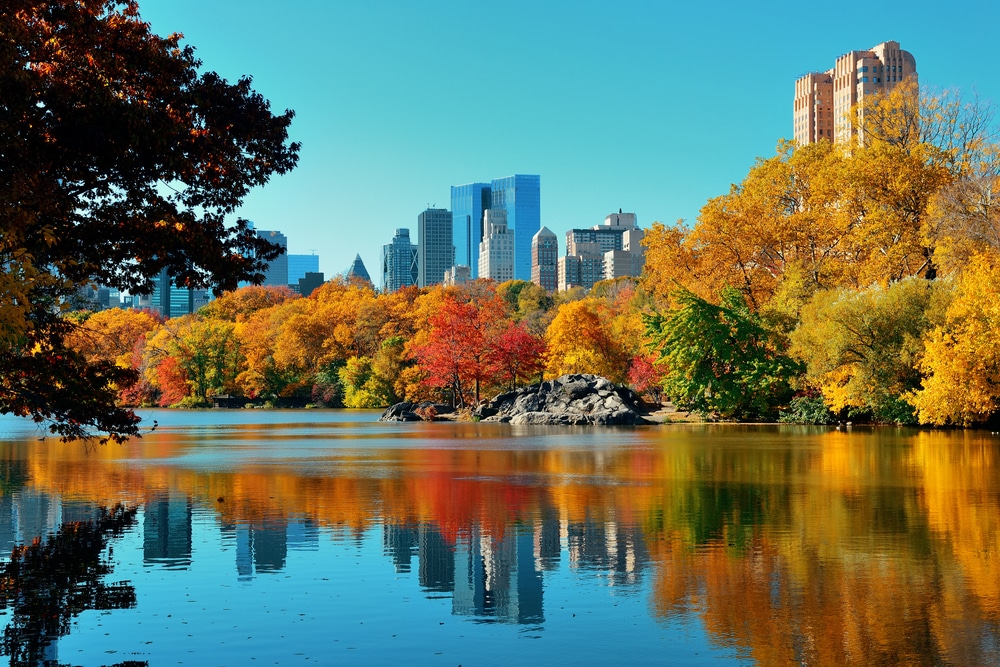 Central Park Autumn and buildings reflection in midtown Manhattan New York City