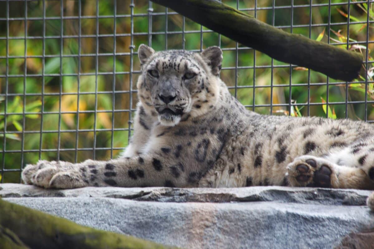 San,Diego,,Ca,,United,States,-,Sep,13th,,2016:,A