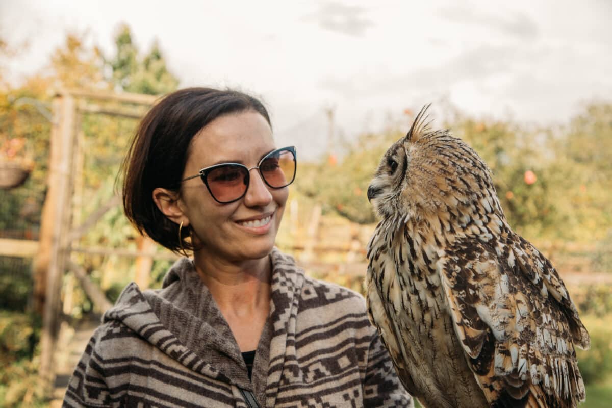 Falconry experience at Dromoland also includes owls