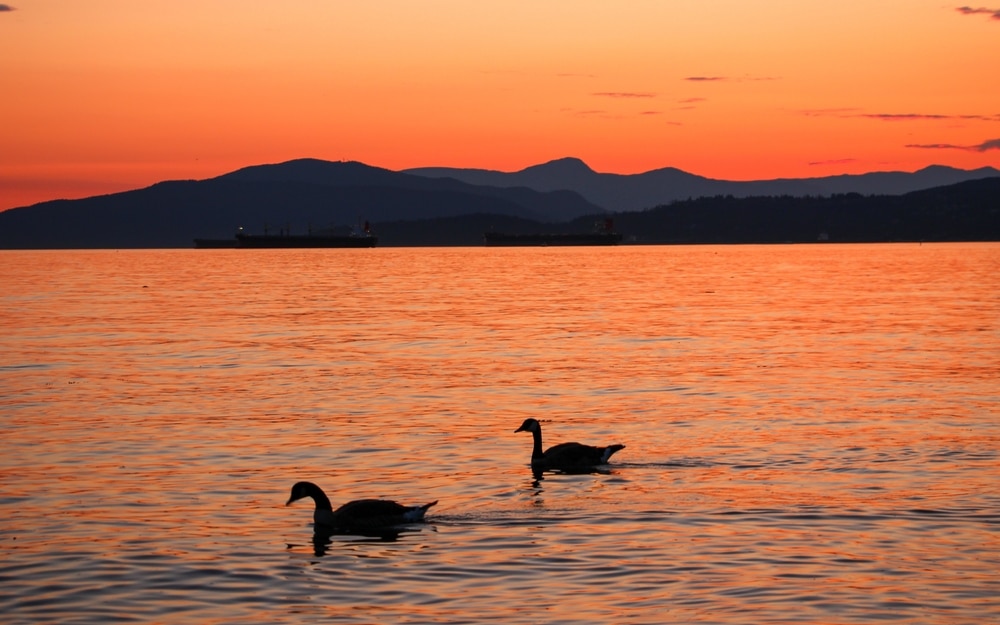 English Bay, Vancouver, BC, Canada, 25th June 2023