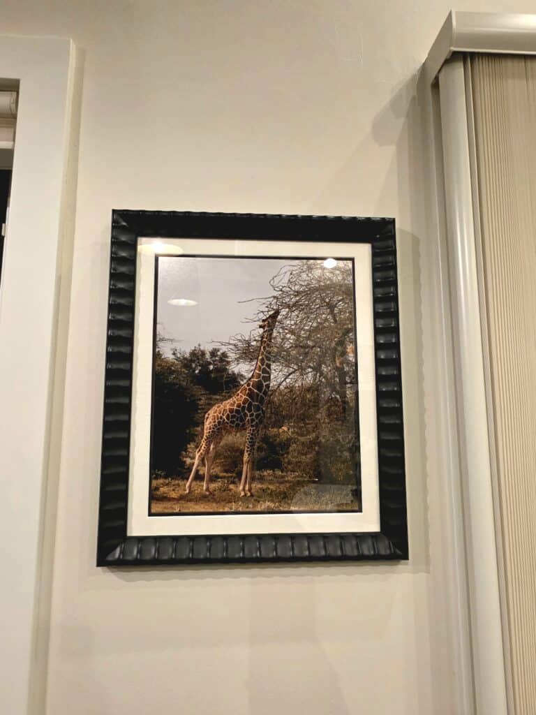 Giraffe photo I took in the Rialto frame from Framebridge