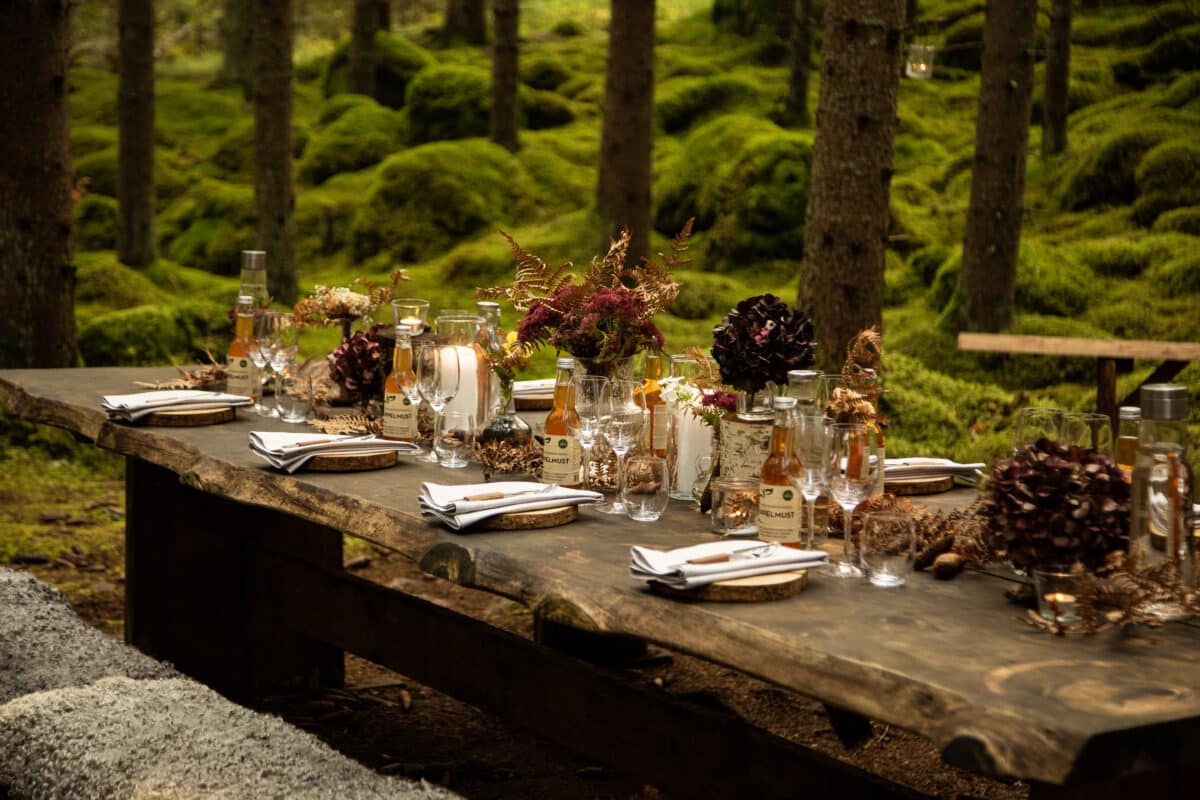 closeup of the edible table