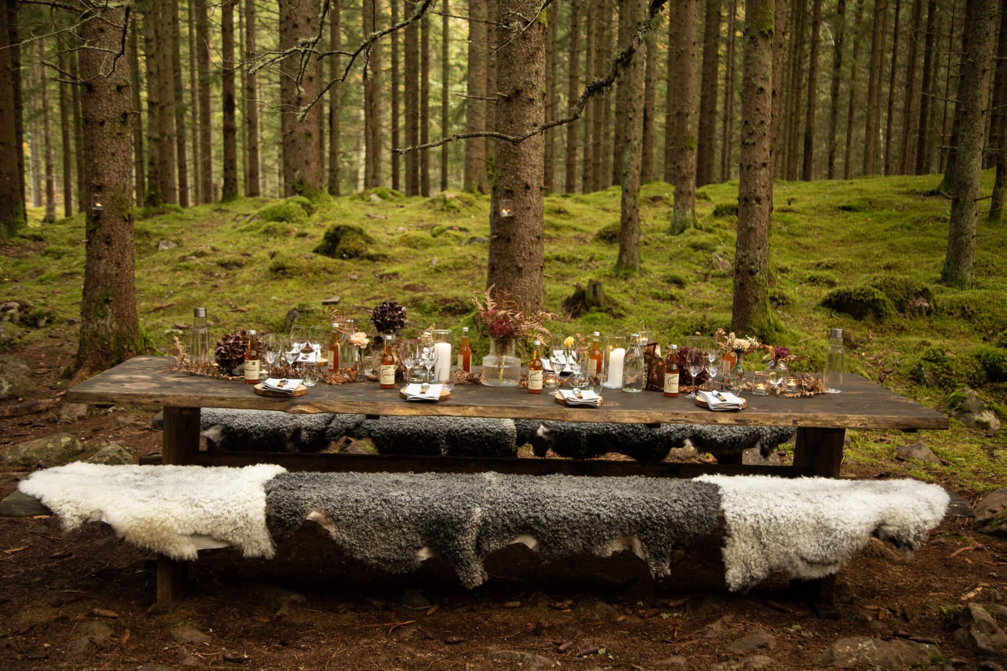 The Edible Country in Småland Sweden