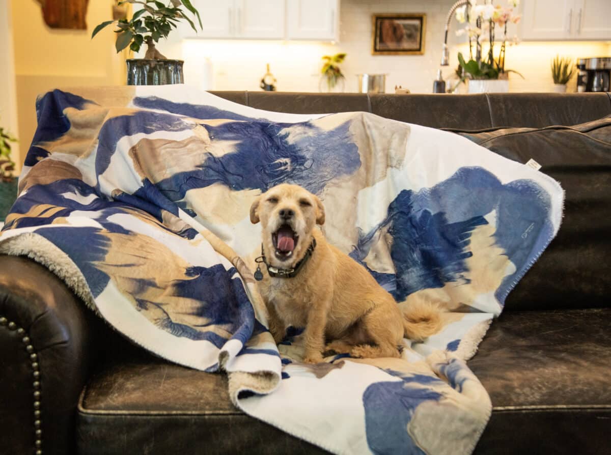 “Rest” Embrace Blanket | Animal-Created Art by Sofi