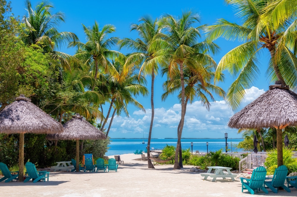Palm trees and umbrellas in beautiful beach in tropical island resort, Key Largo. Florida.