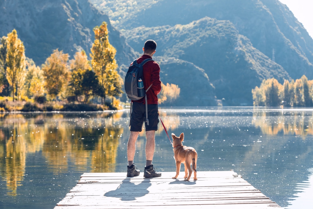 Hiker young man traveler with backpack with his dog looking the landscape in the lake.