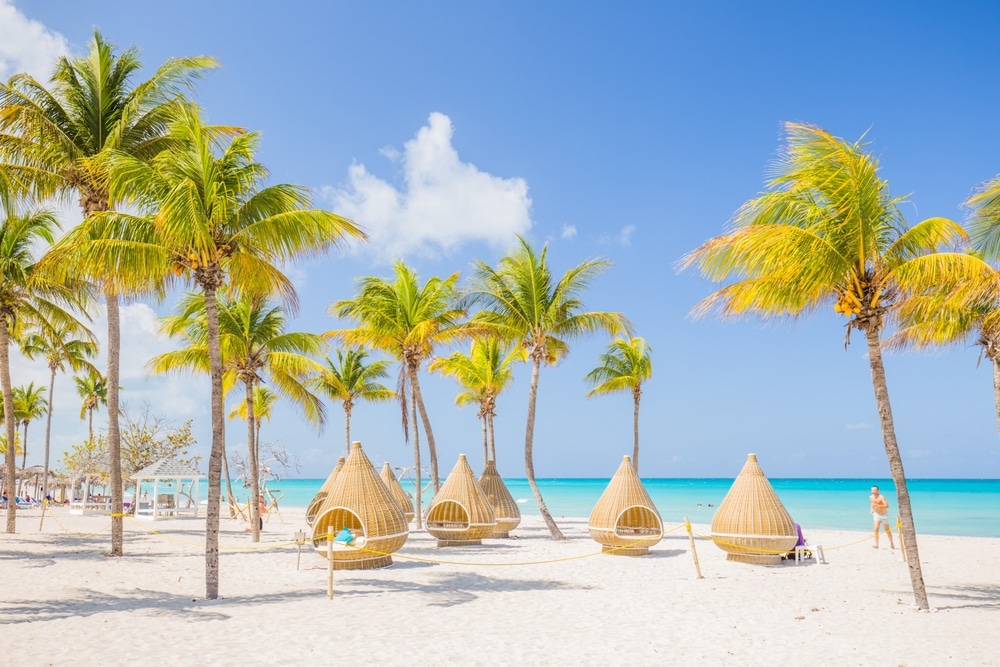 Nice beach with beach chairs, thatched umbrellas and palm trees. luxury beach against the background of the beauty of the sea with coral reefs. summer holiday.