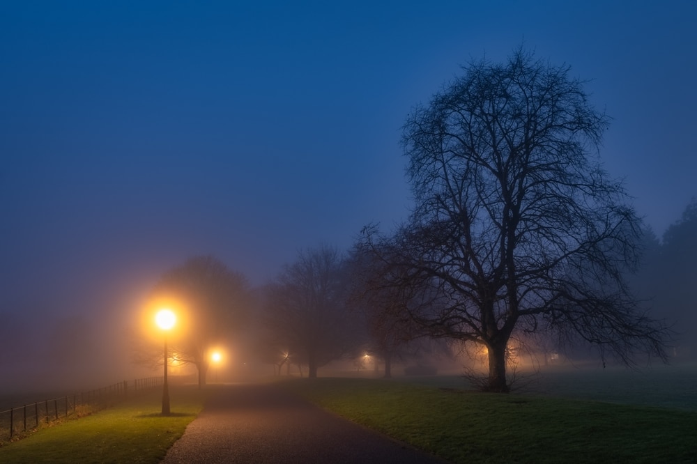 Footpath illuminated by vintage street lamps and vanishing in thick fog at night. Silhouette of trees in moody Phoenix Park, Dublin, Ireland