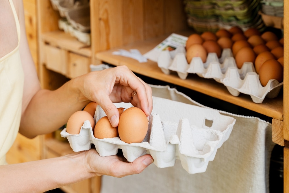 Woman with egg carton box buying bio organic eggs from local farm in zero waste shop. Shopping in sustainable plastic free grocery store. Minimalist lifestyle