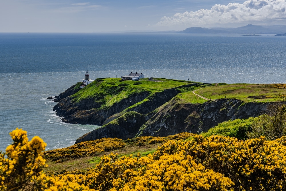 Views while walking along the cliff of Howth Head Dublin North.Howth, Dublin, Ireland