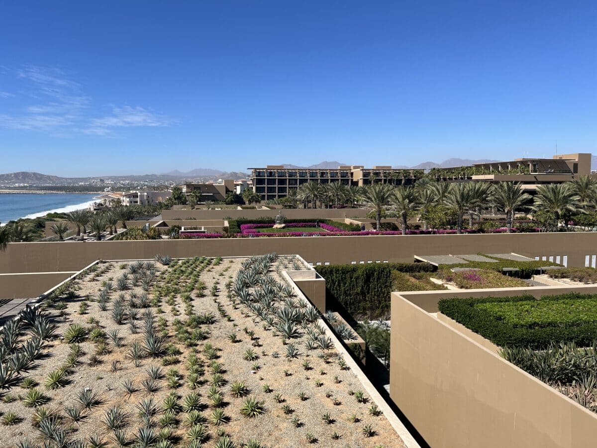 casa maat Marriott hotel in cabo