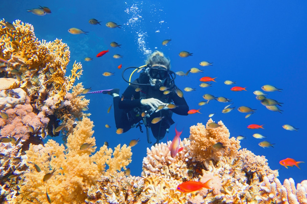 Woman scuba diver admiring beautiful coral reef surrounded by colorful coral fish.