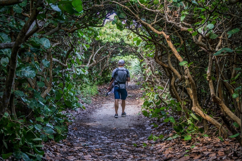 Caucasian young man backpacking through a tree tunnel adventure